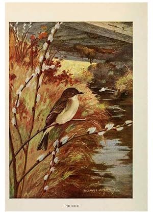 Seller image for Reproduccin/Reproduction 6263689839: Bird biographies New York,Dodd, Mead,1923 for sale by EL BOLETIN