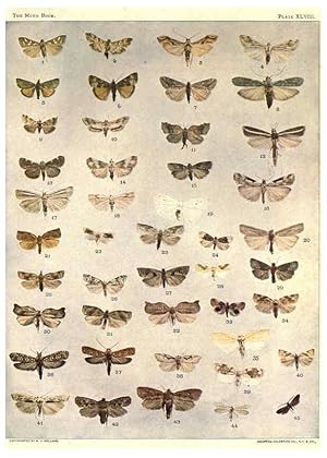 Seller image for Reproduccin/Reproduction 6266336751: The moth book Garden City, New York :Doubleday, Page & company,1916 for sale by EL BOLETIN