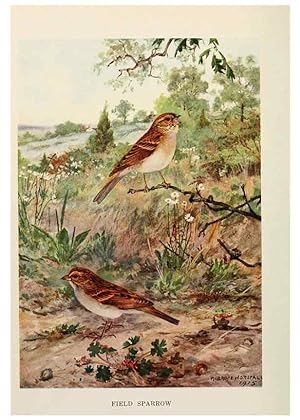 Seller image for Reproduccin/Reproduction 6264219672: Bird biographies New York,Dodd, Mead,1923 for sale by EL BOLETIN