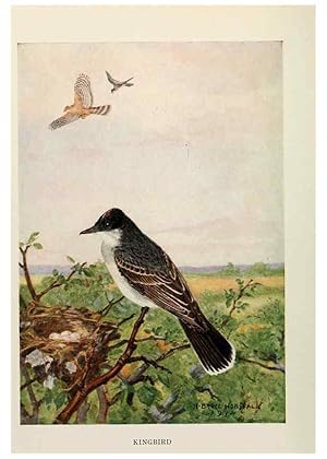 Seller image for Reproduccin/Reproduction 6264225920: Bird biographies New York,Dodd, Mead,1923 for sale by EL BOLETIN