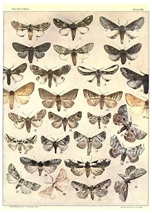 Seller image for Reproduccin/Reproduction 6266863040: The moth book Garden City, New York :Doubleday, Page & company,1916 for sale by EL BOLETIN