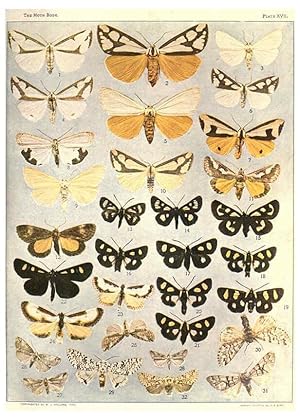 Seller image for Reproduccin/Reproduction 6266858332: The moth book Garden City, New York :Doubleday, Page & company,1916 for sale by EL BOLETIN