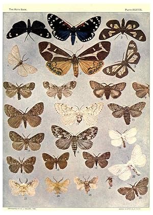 Seller image for Reproduccin/Reproduction 6266862636: The moth book Garden City, New York :Doubleday, Page & company,1916 for sale by EL BOLETIN