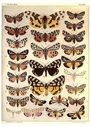 Seller image for Reproduccin/Reproduction 6266330113: The moth book Garden City, New York :Doubleday, Page & company,1916 for sale by EL BOLETIN