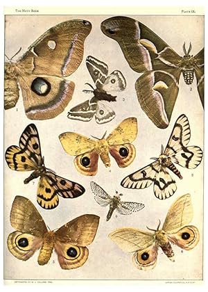 Seller image for Reproduccin/Reproduction 6266329005: The moth book Garden City, New York :Doubleday, Page & company,1916 for sale by EL BOLETIN