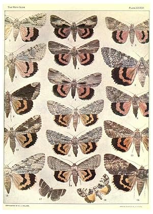 Seller image for Reproduccin/Reproduction 6266333745: The moth book Garden City, New York :Doubleday, Page & company,1916 for sale by EL BOLETIN