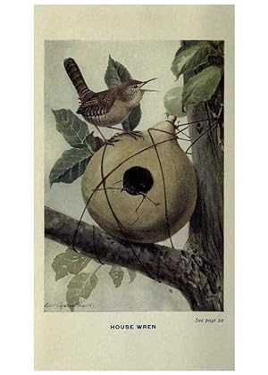 Seller image for Reproduccin/Reproduction 6311761415: The way to study birds New York,Putnam,1917 for sale by EL BOLETIN