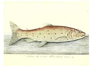 Imagen del vendedor de Reproduccin/Reproduction 6384086103: The history of esculent fish London :Printed for Edward Jeffrey [etc.],1794 a la venta por EL BOLETIN