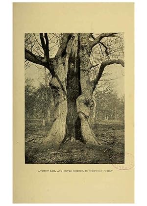 Image du vendeur pour Reproduccin/Reproduction 6376505393: Trees in nature, myth and art London :Methuen & Co.,1907 mis en vente par EL BOLETIN