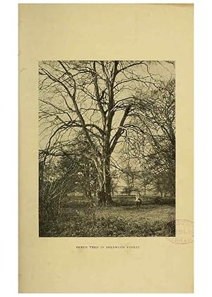 Image du vendeur pour Reproduccin/Reproduction 6376507965: Trees in nature, myth and art London :Methuen & Co.,1907 mis en vente par EL BOLETIN