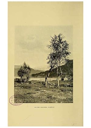 Image du vendeur pour Reproduccin/Reproduction 6376505961: Trees in nature, myth and art London :Methuen & Co.,1907 mis en vente par EL BOLETIN