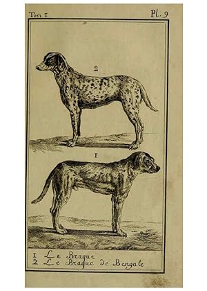 Seller image for Reproduccin/Reproduction 6302359786: Histoire naturelle, gnrale et particulire, avec la description du Cabinet du roi. Tome I. Paris,De lImprimerie royale,1750-1804 for sale by EL BOLETIN