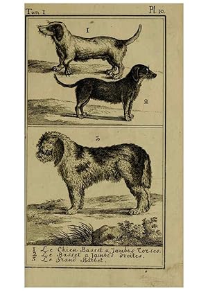 Seller image for Reproduccin/Reproduction 6302359990: Histoire naturelle, gnrale et particulire, avec la description du Cabinet du roi. Tome I. Paris,De lImprimerie royale,1750-1804 for sale by EL BOLETIN