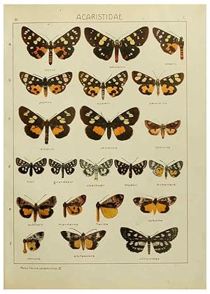 Image du vendeur pour Reproduccin/Reproduction 6119678233: The Macrolepidoptera of the world. v.3. plates Stuttgart,Seitzschen (Kernen),1906-1933 mis en vente par EL BOLETIN