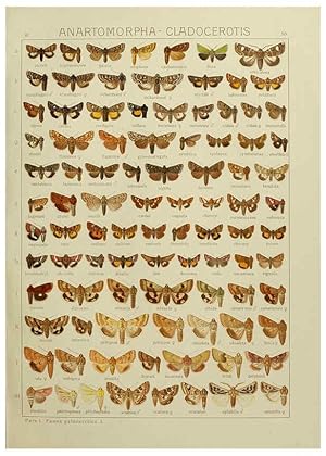 Image du vendeur pour Reproduccin/Reproduction 6119686875: The Macrolepidoptera of the world. v.3. plates Stuttgart,Seitzschen (Kernen),1906-1933 mis en vente par EL BOLETIN