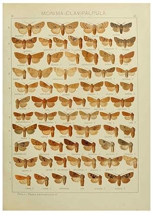 Image du vendeur pour Reproduccin/Reproduction 6120225414: The Macrolepidoptera of the world. v.3. plates Stuttgart,Seitzschen (Kernen),1906-1933 mis en vente par EL BOLETIN