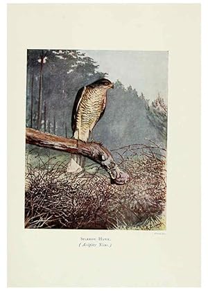 Bild des Verkufers fr Reproduccin/Reproduction 6127322616: Pictures of bird life London :S. H. Bousfield,1903 zum Verkauf von EL BOLETIN