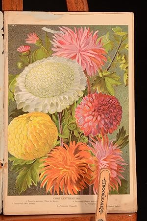 Bild des Verkufers fr Beeton's Illustrated Gardening Book zum Verkauf von Rooke Books PBFA