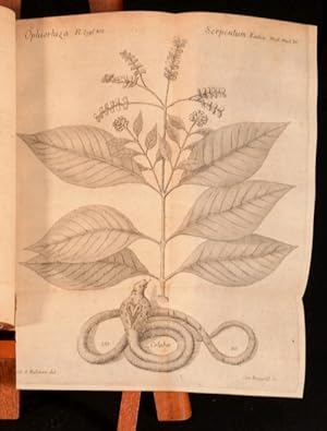 Bild des Verkufers fr Materia Medica Caroli Linnaei liber I. De Plantis Secundum Genera, Loca, Nomina, Qualitates, Vires, Differentias, Durationes, Simplicia, Modos, Usus, Synonyma, Culturas, Proearata, Porentias, Composita zum Verkauf von Rooke Books PBFA