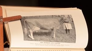 The English Guernsey Cattle Society's Herd Book