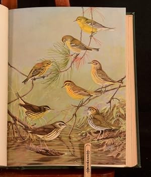 Birds of Massachusetts And Other New England States