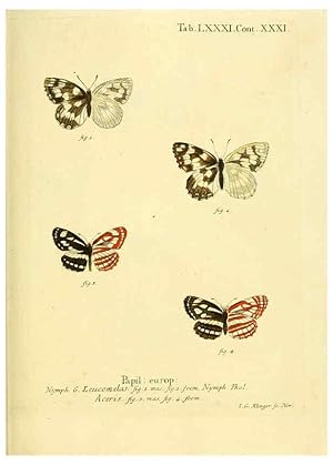 Seller image for Reproduccin/Reproduction 6102772749: Die Schmetterlinge in Abbildungen nach der Natur. v.1 plates. Leipzig :T.O. Weigel,[1829-1839] for sale by EL BOLETIN