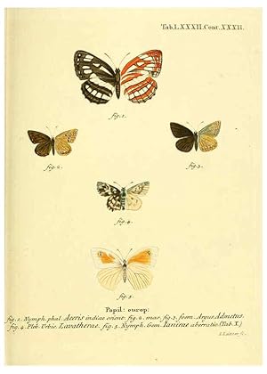Seller image for Reproduccin/Reproduction 6102773089: Die Schmetterlinge in Abbildungen nach der Natur. v.1 plates. Leipzig :T.O. Weigel,[1829-1839] for sale by EL BOLETIN