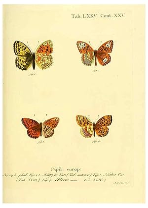 Seller image for Reproduccin/Reproduction 6102771331: Die Schmetterlinge in Abbildungen nach der Natur. v.1 plates. Leipzig :T.O. Weigel,[1829-1839] for sale by EL BOLETIN