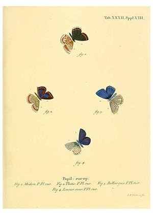 Seller image for Reproduccin/Reproduction 6103303478: Die Schmetterlinge in Abbildungen nach der Natur. v.1 plates. Leipzig :T.O. Weigel,[1829-1839] for sale by EL BOLETIN