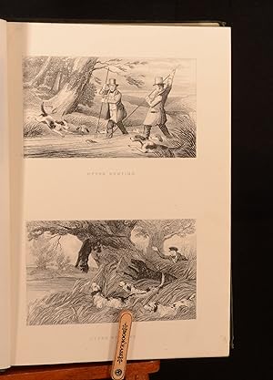 Seller image for Rural Life, Described and Illustrated in the Management of Horses, Dogs, Cattle, Sheep, Pigs, Poultry, &c. for sale by Rooke Books PBFA