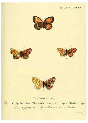 Seller image for Reproduccin/Reproduction 6102777621: Die Schmetterlinge in Abbildungen nach der Natur. v.1 plates. Leipzig :T.O. Weigel,[1829-1839] for sale by EL BOLETIN