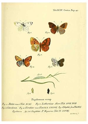 Seller image for Reproduccin/Reproduction 6102776763: Die Schmetterlinge in Abbildungen nach der Natur. v.1 plates. Leipzig :T.O. Weigel,[1829-1839] for sale by EL BOLETIN