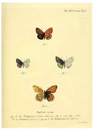 Seller image for Reproduccin/Reproduction 6102775709: Die Schmetterlinge in Abbildungen nach der Natur. v.1 plates. Leipzig :T.O. Weigel,[1829-1839] for sale by EL BOLETIN