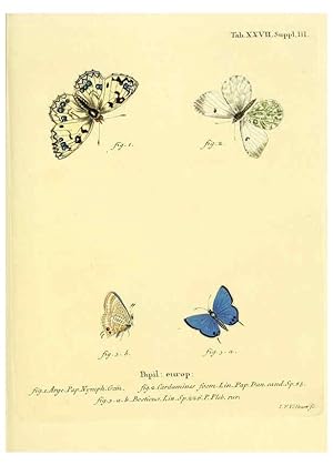 Seller image for Reproduccin/Reproduction 6103298700: Die Schmetterlinge in Abbildungen nach der Natur. v.1 plates. Leipzig :T.O. Weigel,[1829-1839] for sale by EL BOLETIN