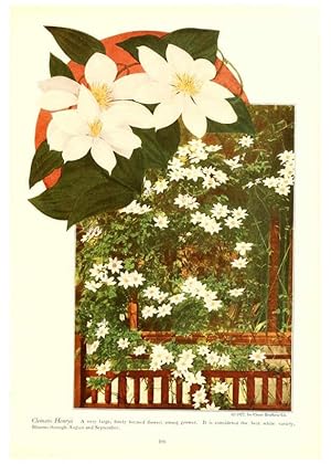 Seller image for Reproduccin/Reproduction 6237050031: Chase fruit and flowers in natural colors Rochester, N.Y.,Chase brothers company[c1922] for sale by EL BOLETIN