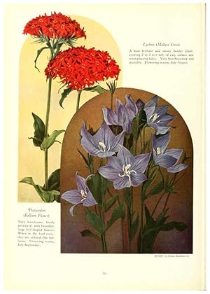 Seller image for Reproduccin/Reproduction 6237575060: Chase fruit and flowers in natural colors Rochester, N.Y.,Chase brothers company[c1922] for sale by EL BOLETIN