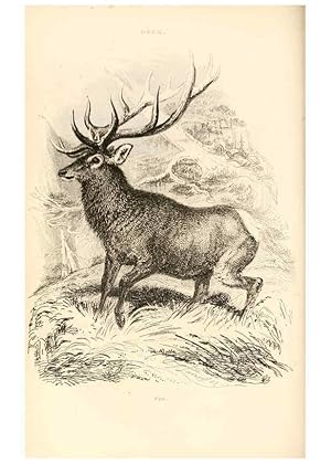 Seller image for Reproduccin/Reproduction 6243500035: The animal kingdom, arranged after its organization London,W. S. Orr and co.,1854 for sale by EL BOLETIN