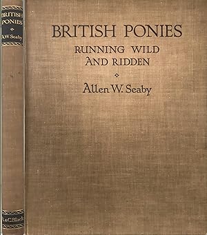 British Ponies Running Wild and Ridden