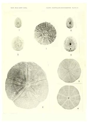 Seller image for Reproduccin/Reproduction 6221113126: Echinoderms from Australia Cambridge, U.S.A. :Printed for the Museum,1938 for sale by EL BOLETIN