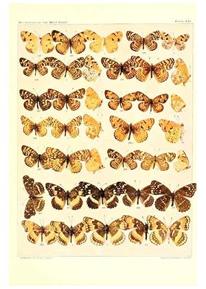 Image du vendeur pour Reproduccin/Reproduction 6233849155: The butterflies of the West Coast of the United States San Bernardino, Calif. :Wright,1906, c1905 mis en vente par EL BOLETIN