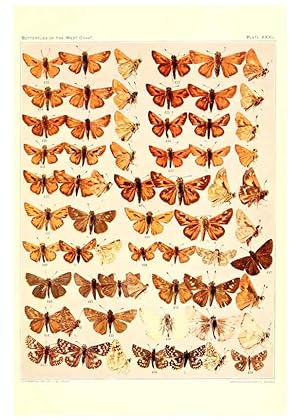 Immagine del venditore per Reproduccin/Reproduction 6233851465: The butterflies of the West Coast of the United States San Bernardino, Calif. :Wright,1906, c1905 venduto da EL BOLETIN