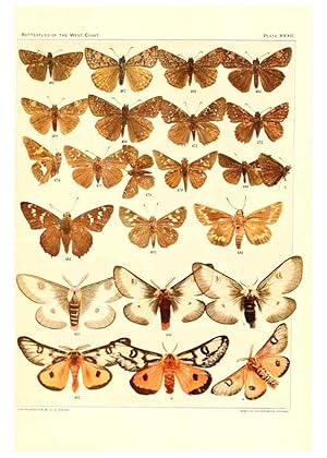 Immagine del venditore per Reproduccin/Reproduction 6234376876: The butterflies of the West Coast of the United States San Bernardino, Calif. :Wright,1906, c1905 venduto da EL BOLETIN