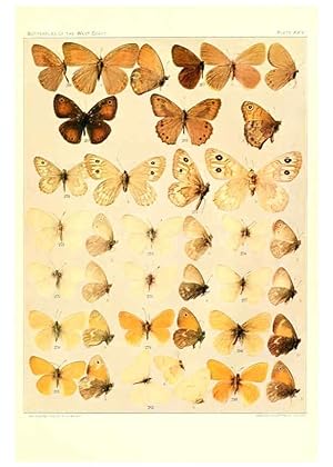 Imagen del vendedor de Reproduccin/Reproduction 6233850179: The butterflies of the West Coast of the United States San Bernardino, Calif. :Wright,1906, c1905 a la venta por EL BOLETIN