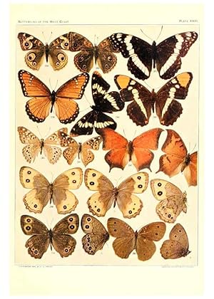 Immagine del venditore per Reproduccin/Reproduction 6234374818: The butterflies of the West Coast of the United States San Bernardino, Calif. :Wright,1906, c1905 venduto da EL BOLETIN