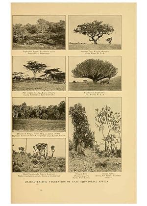 Seller image for Reproduccin/Reproduction 6254861458: Life-histories of African game animals New York,C. Scribners Sons,1914 for sale by EL BOLETIN
