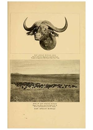 Seller image for Reproduccin/Reproduction 6254872640: Life-histories of African game animals New York,C. Scribners Sons,1914 for sale by EL BOLETIN