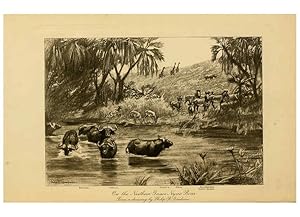 Seller image for Reproduccin/Reproduction 6254859056: Life-histories of African game animals New York,C. Scribners Sons,1914 for sale by EL BOLETIN