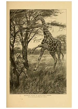 Seller image for Reproduccin/Reproduction 6254336411: Life-histories of African game animals New York,C. Scribners Sons,1914 for sale by EL BOLETIN