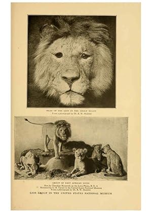 Seller image for Reproduccin/Reproduction 6254862018: Life-histories of African game animals New York,C. Scribners Sons,1914 for sale by EL BOLETIN