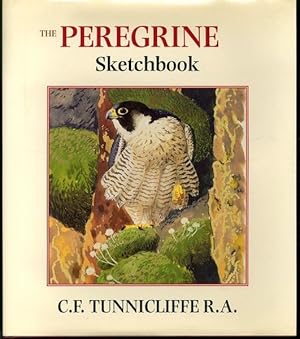 The peregrine sketchbook